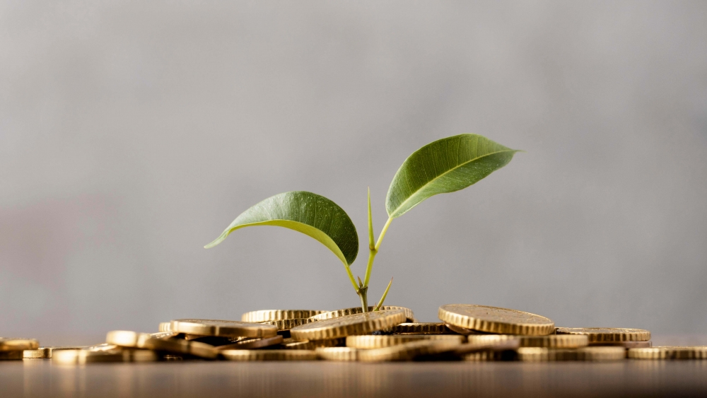 Une plante en pleine croissance entourée de pièces d’argent pour illustrer le service refaire son crédit en ligne.
